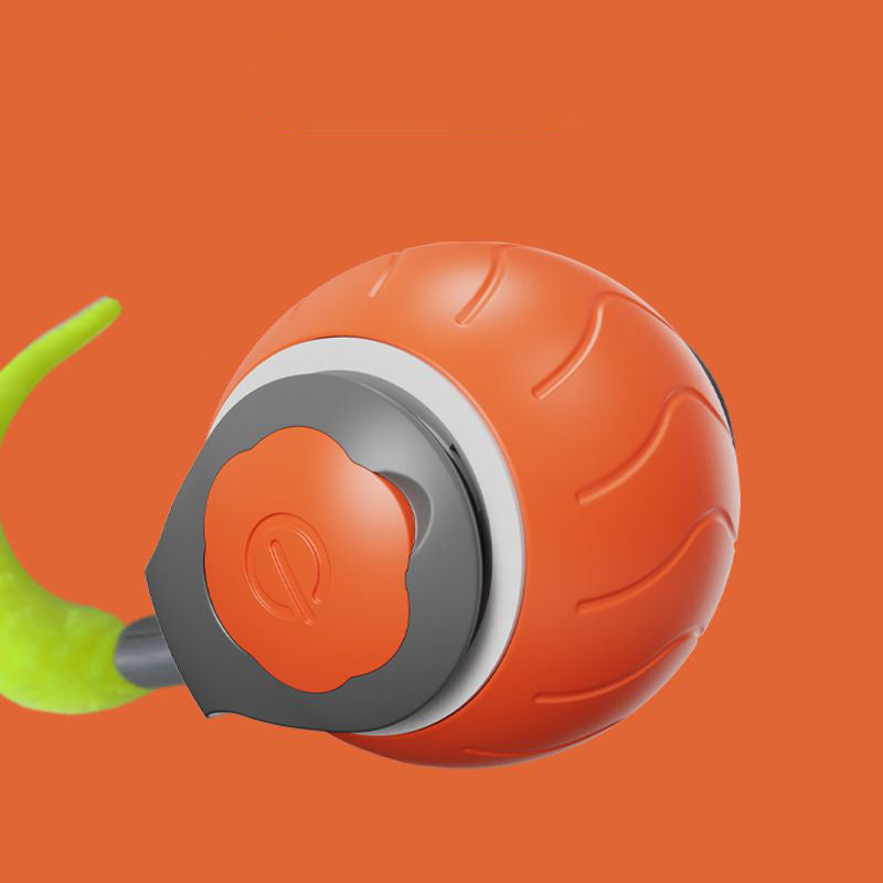 Speedy Tail Cat Toy,Interactive Cat Toy For Indoor Cats