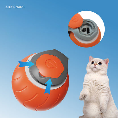 Speedy Tail Cat Toy,Interactive Cat Toy For Indoor Cats