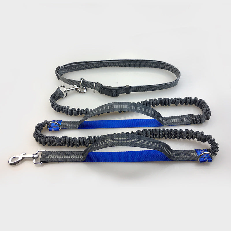 Amazon direct pet supplies multi-function running reflective pull dog leash double
