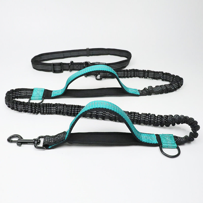 Amazon direct pet supplies multi-function running reflective pull dog leash double