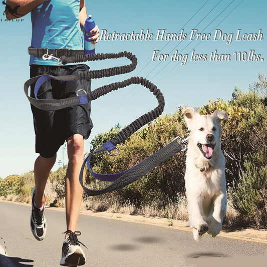 Amazon direct pet supplies multi-function running reflective pull dog leash double