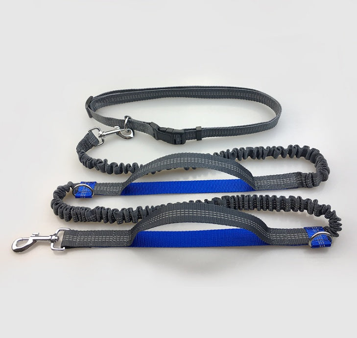 Amazon direct pet supplies multi-function running reflective pull dog leash double