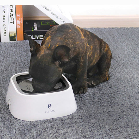 Splash Proof Pet Bowl for pet