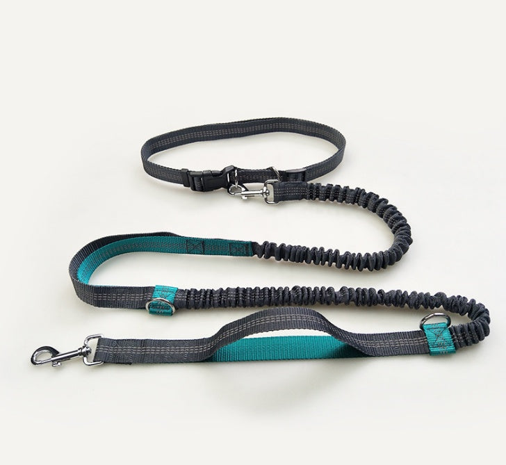 Amazon direct pet supplies multi-function running reflective pull dog leash double