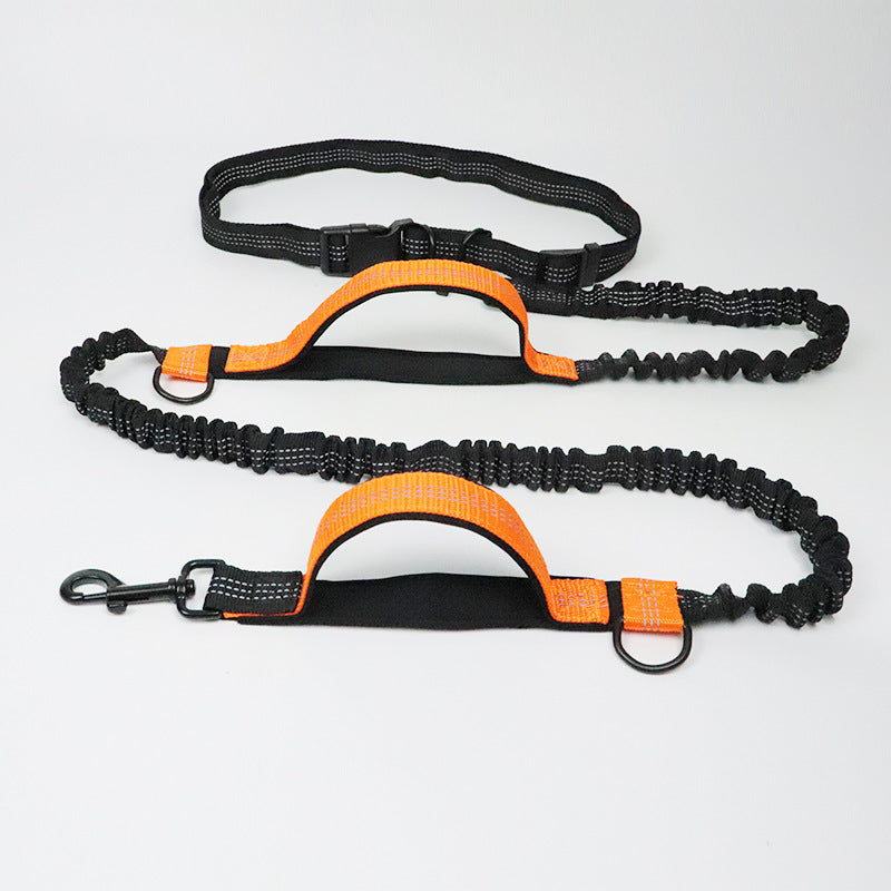 Amazon direct pet supplies multi-function running reflective pull dog leash double