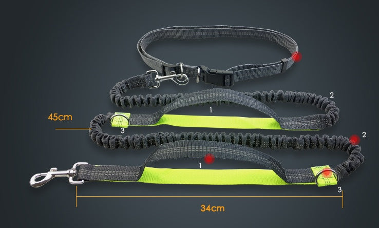 Amazon direct pet supplies multi-function running reflective pull dog leash double