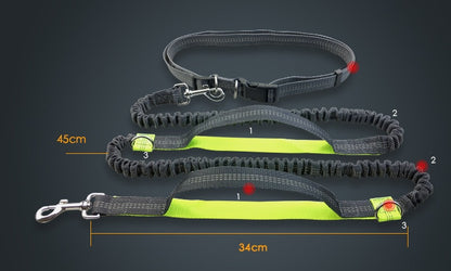 Amazon direct pet supplies multi-function running reflective pull dog leash double