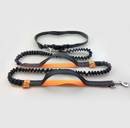 Amazon direct pet supplies multi-function running reflective pull dog leash double