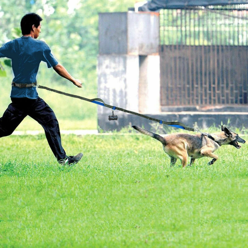 Amazon direct pet supplies multi-function running reflective pull dog leash double
