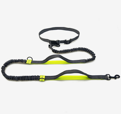 Amazon direct pet supplies multi-function running reflective pull dog leash double