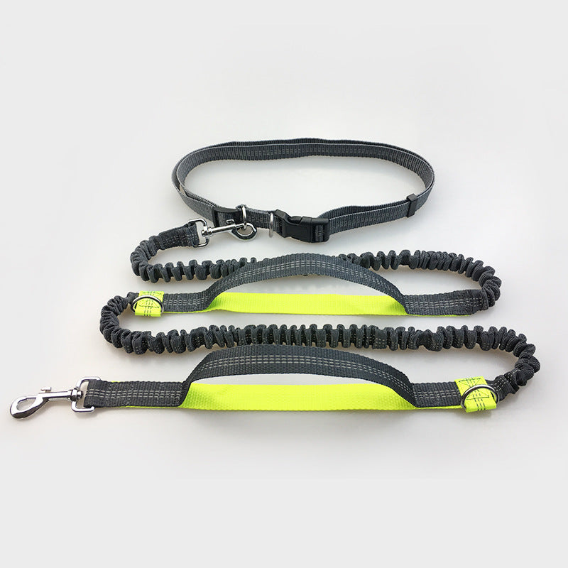 Amazon direct pet supplies multi-function running reflective pull dog leash double