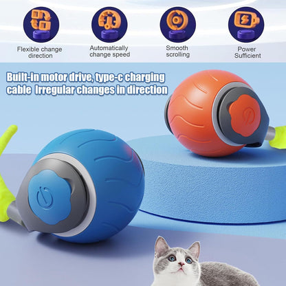 Speedy Tail Cat Toy,Interactive Cat Toy For Indoor Cats