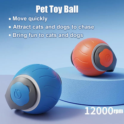 Speedy Tail Cat Toy,Interactive Cat Toy For Indoor Cats
