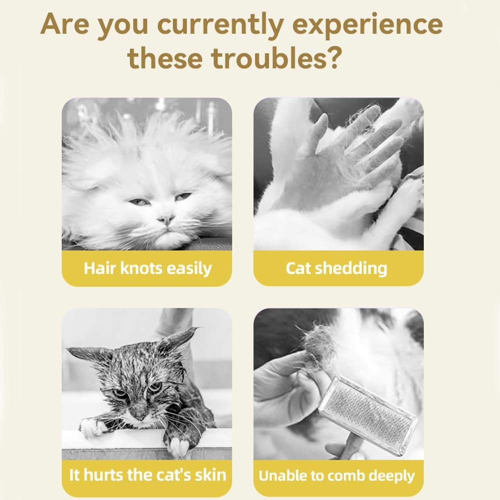 Cat Steam Brush Cat Hair Brush 3 In 1 Cat Steamy Brush Cleanser